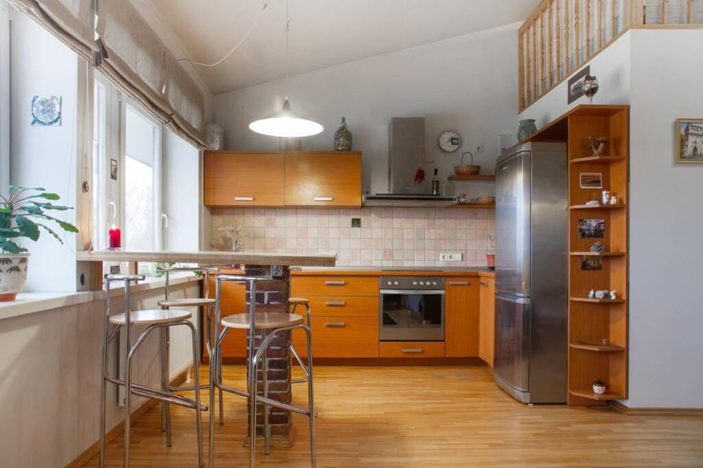 Penthouse With Great Panoramic View Vilnius